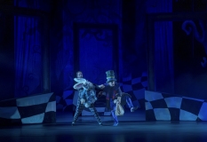 Alice-in-wonderlans-Marc-Bos-7