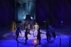 Alice-in-Wonderland-foto-Jeanne-Rutgers-17