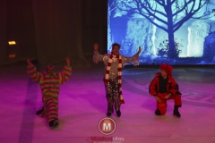 Alice-in-Wonderland-foto-Jeanne-Rutgers-3