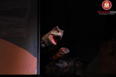 Brandweerman-Sam-Esmee-Korver-38