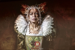 Cats-presentatie-foto-Peggy-de-Haan-06 Cats-presentatie-foto-Peggy-de-Haan-06