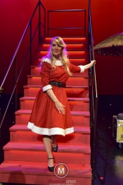 Christmas-in-the-air-foto-Wilma-van-der-Werf-20