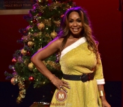 Christmas-in-the-air-foto-Wilma-van-der-Werf-23