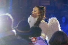 De-Kerststal-Gaby-Lejeune-5