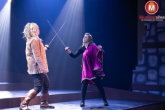 drie-musketiers-Claudia-Zandbergen-1