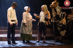 drie-musketiers-Claudia-Zandbergen-3