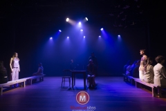 Alweer-een-fucking-meeuw-foto-Peggy-de-Haan-101