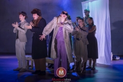 Alweer-een-fucking-meeuw-foto-Peggy-de-Haan-26