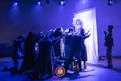 Alweer-een-fucking-meeuw-foto-Peggy-de-Haan-27