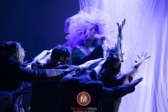 Alweer-een-fucking-meeuw-foto-Peggy-de-Haan-28