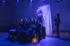 Alweer-een-fucking-meeuw-foto-Peggy-de-Haan-29