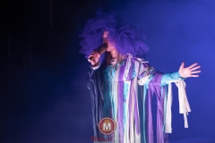 Alweer-een-fucking-meeuw-foto-Peggy-de-Haan-32