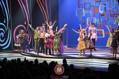 Hairspray-Amsterdam-Foto-Wilma-van-der-Werf-33