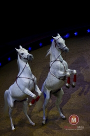 Kerstcircus-Mariska-Steenbergen-3