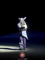 Luna-foto-Robert-Bal-25