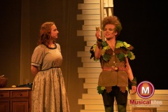 Peter-Pan-Rob-de-Haan-13