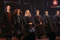 Premiere-Harry-Potter-en-het-Vervloekte-Kind-Fleur-van-t-Hoog-02 Premiere-Harry-Potter-en-het-Vervloekte-Kind-Fleur-van-t-Hoog-02