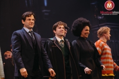 Premiere-Harry-Potter-en-het-Vervloekte-Kind-Fleur-van-t-Hoog-05 Premiere-Harry-Potter-en-het-Vervloekte-Kind-Fleur-van-t-Hoog-05