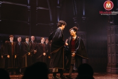 Premiere-Harry-Potter-en-het-Vervloekte-Kind-Fleur-van-t-Hoog-13 Premiere-Harry-Potter-en-het-Vervloekte-Kind-Fleur-van-t-Hoog-13