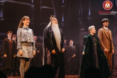 Premiere-Harry-Potter-en-het-Vervloekte-Kind-Fleur-van-t-Hoog-14 Premiere-Harry-Potter-en-het-Vervloekte-Kind-Fleur-van-t-Hoog-14