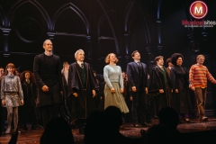 Premiere-Harry-Potter-en-het-Vervloekte-Kind-Fleur-van-t-Hoog-16 Premiere-Harry-Potter-en-het-Vervloekte-Kind-Fleur-van-t-Hoog-16