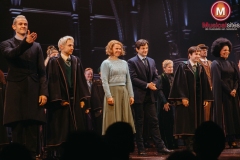 Premiere-Harry-Potter-en-het-Vervloekte-Kind-Fleur-van-t-Hoog-18 Premiere-Harry-Potter-en-het-Vervloekte-Kind-Fleur-van-t-Hoog-18