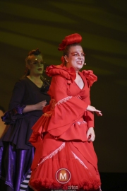 Seussical-de-Musical-Esmee-Korver-29