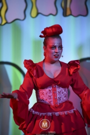 Seussical-de-Musical-Esmee-Korver-6