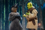 Shrek-try-out-Peggy-de-Haan-14