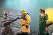 Shrek-try-out-Peggy-de-Haan-23