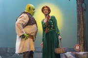 Shrek-try-out-Peggy-de-Haan-25