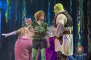 Shrek-try-out-Peggy-de-Haan-3