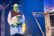 Shrek-try-out-Peggy-de-Haan-35