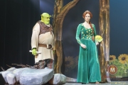 Shrek-try-out-Peggy-de-Haan-36