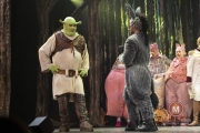 Shrek-try-out-Peggy-de-Haan-40