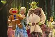 Shrek-try-out-Peggy-de-Haan-44