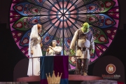 Shrek-try-out-Peggy-de-Haan-51