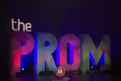 The-Prom-Mariska-Steenbergen-1