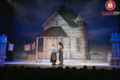 The-Wiz-Fleur-van-t-Hoog-02 The-Wiz-Fleur-van-t-Hoog-02