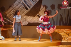 The-Wiz-Fleur-van-t-Hoog-03 The-Wiz-Fleur-van-t-Hoog-03