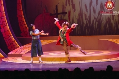 The-Wiz-Fleur-van-t-Hoog-09 The-Wiz-Fleur-van-t-Hoog-09