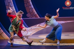 The-Wiz-Fleur-van-t-Hoog-10 The-Wiz-Fleur-van-t-Hoog-10