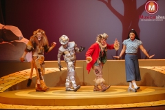 The-Wiz-Fleur-van-t-Hoog-14 The-Wiz-Fleur-van-t-Hoog-14