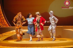 The-Wiz-Fleur-van-t-Hoog-16 The-Wiz-Fleur-van-t-Hoog-16