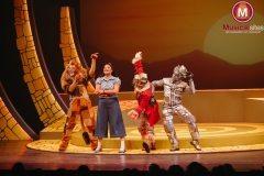 The-Wiz-Fleur-van-t-Hoog-17 The-Wiz-Fleur-van-t-Hoog-17