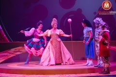 The-Wiz-Fleur-van-t-Hoog-24 The-Wiz-Fleur-van-t-Hoog-24