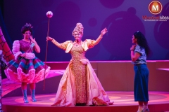 The-Wiz-Fleur-van-t-Hoog-25 The-Wiz-Fleur-van-t-Hoog-25