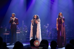 Woman-in-love-Rob-de-Haan-25